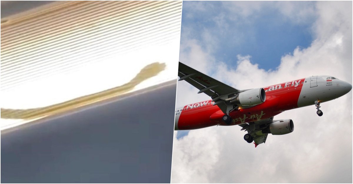 cover photo 39.jpg?resize=412,275 - AirAsia Flight Was Forced To Divert After Passengers Spotted A SNAKE On The Plane