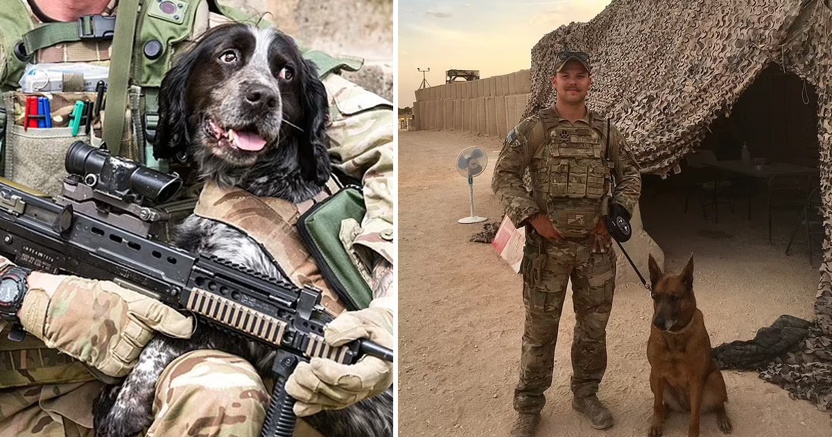 d2 1.jpg?resize=1200,630 - Senior Army Officer Who Ran Through GUNFIRE To Save His ‘Canine Colleague’ Set To Receive Honorary Medal