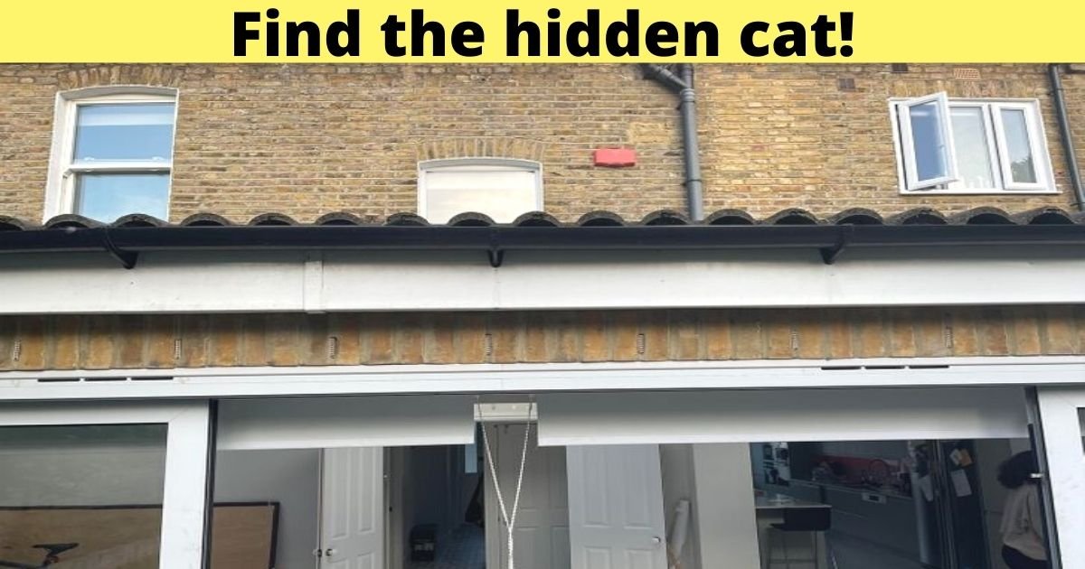 find the hidden cat.jpg?resize=1200,630 - There Is A CAT Hiding Somewhere In This Picture! Can You Spot It In Less Than 10 Seconds?