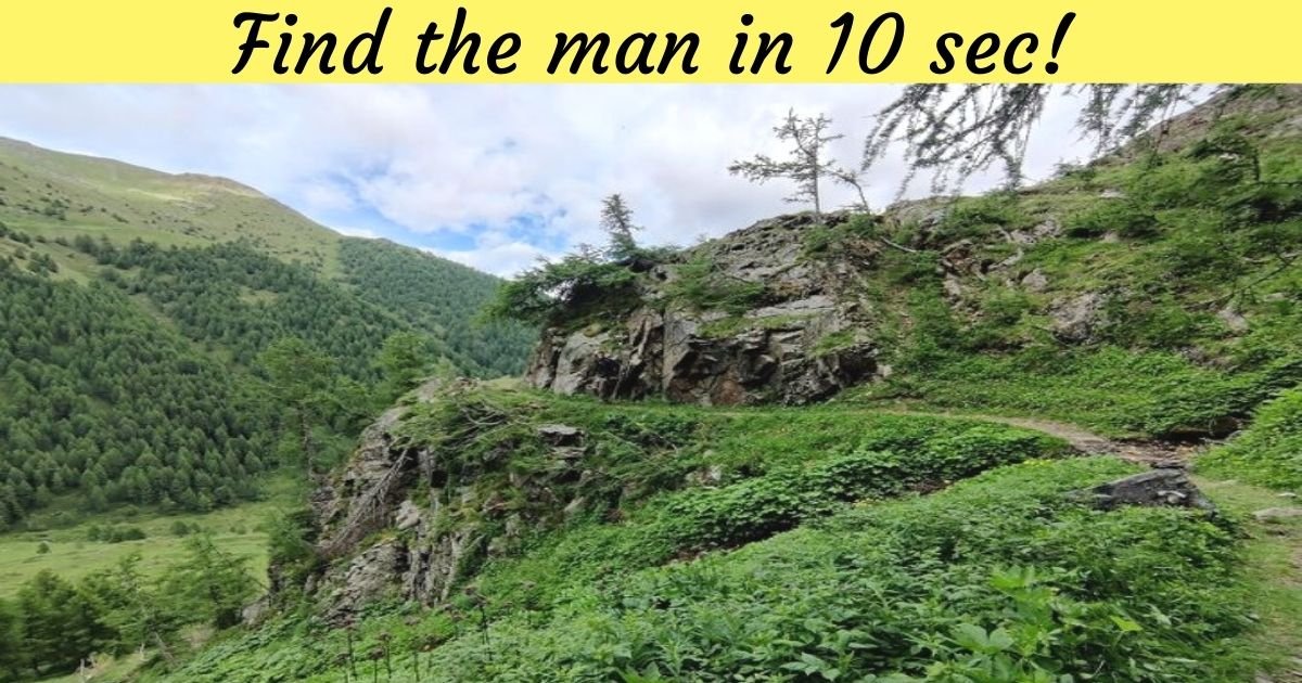 find the man in 10 sec.jpg?resize=412,275 - How Fast Can You Spot The MAN Hiding In This Picture? 90% Of Viewers Couldn’t See Him!