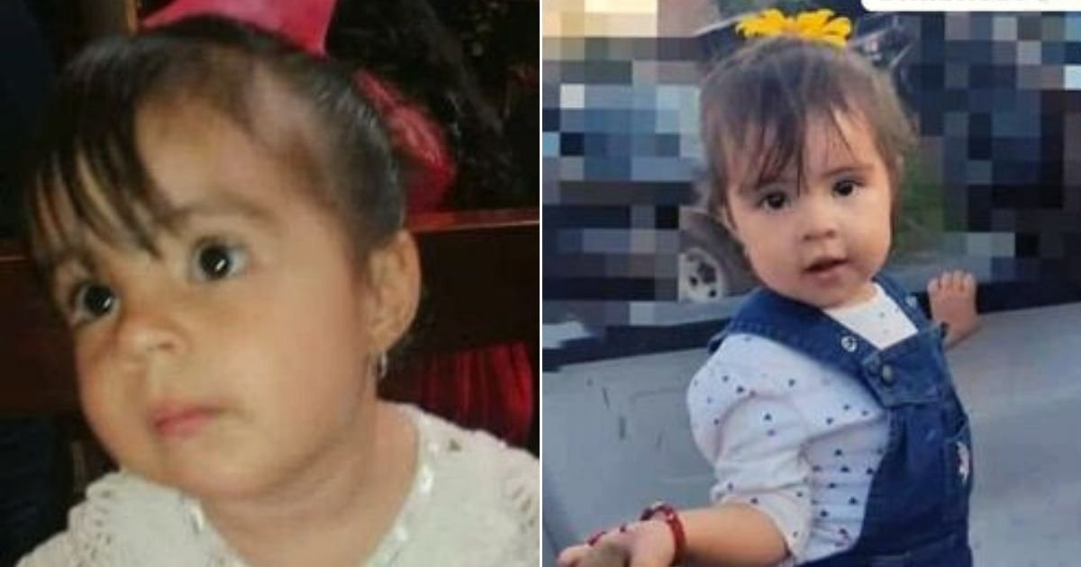 heidy4.jpg?fit=1024%2C538&ssl=1&strip=all - 2-Year-Old Girl Tragically Died After Eating Poisoned Cookie Thrown Into Their Garden To Silence Their Family Dog