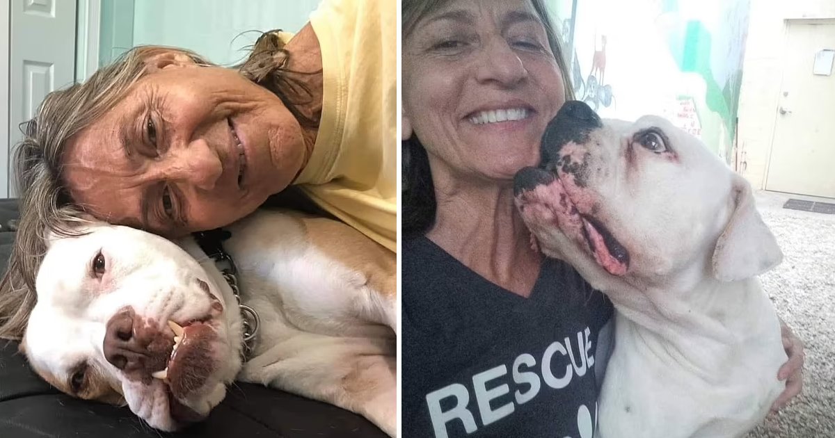 q1 6 1.jpg?resize=412,232 - JUST IN: Rescue Dog Violently Attacks & Kills 'Loving' Miami Animal Shelter Worker