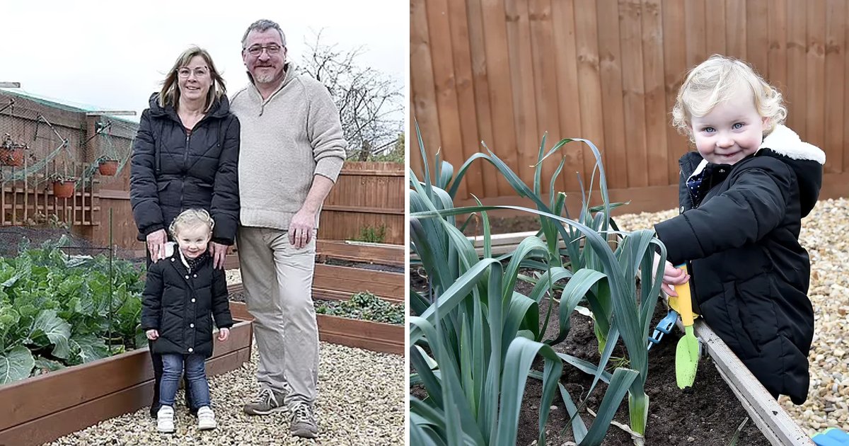 q5 5.jpg?resize=1200,630 - Loving Couple Stunned After Authorities FINE Them ‘Thousands’ For Growing Vegetables In Their OWN Private Garden