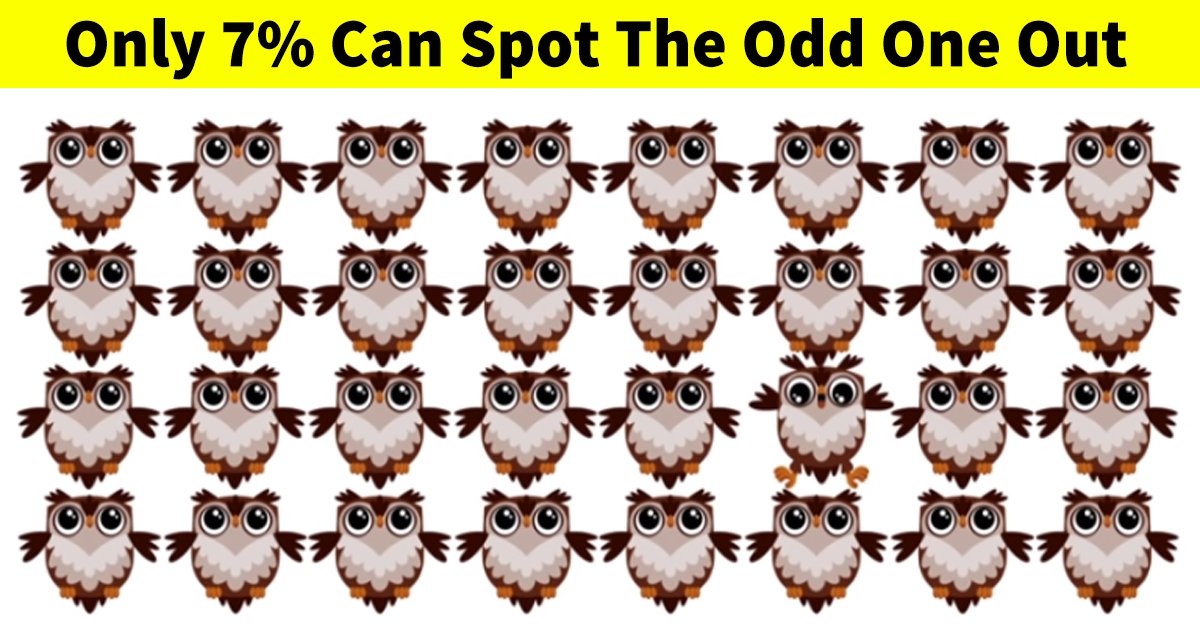 q7 10.jpg?resize=1200,630 - This Vision Test Is Designed For The Best! Can You Give It A Try?