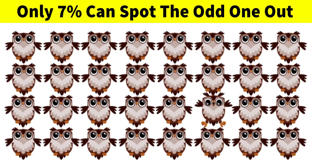 q7 10.jpg?resize=412,232 - This Vision Test Is Designed For The Best! Can You Give It A Try?