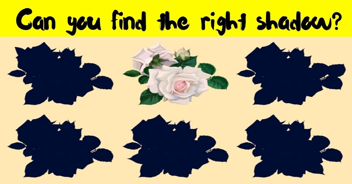 shadow5.jpg?resize=412,232 - Only 1 In 10 People Can Find The Right Shadow Of The Flowers! But Can You Also Solve It?