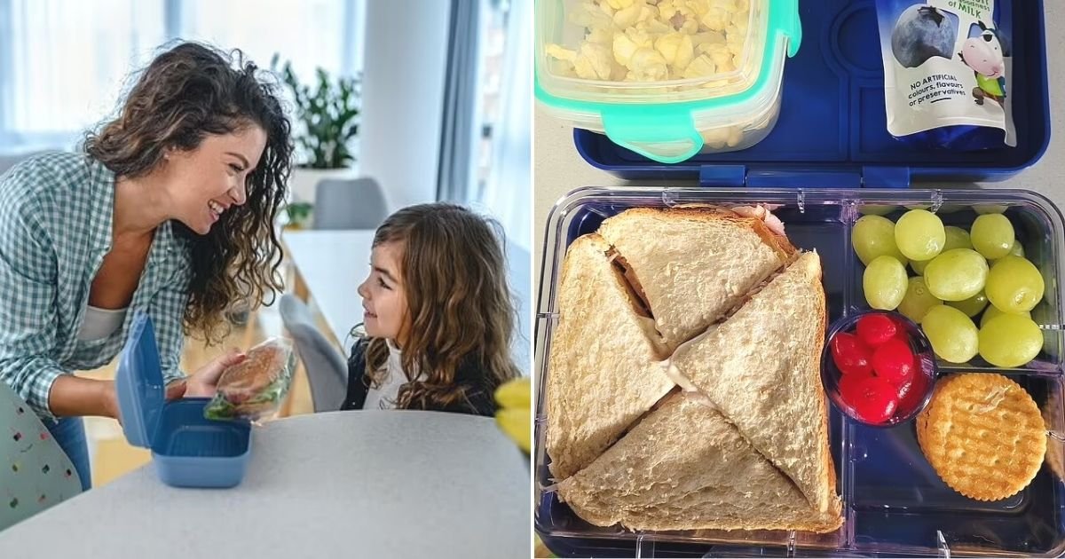 untitled design 45.jpg?resize=412,275 - Mother Shamed And Scolded After Viewers Take A Closer Look At The School Lunchbox She Prepared For Her Child