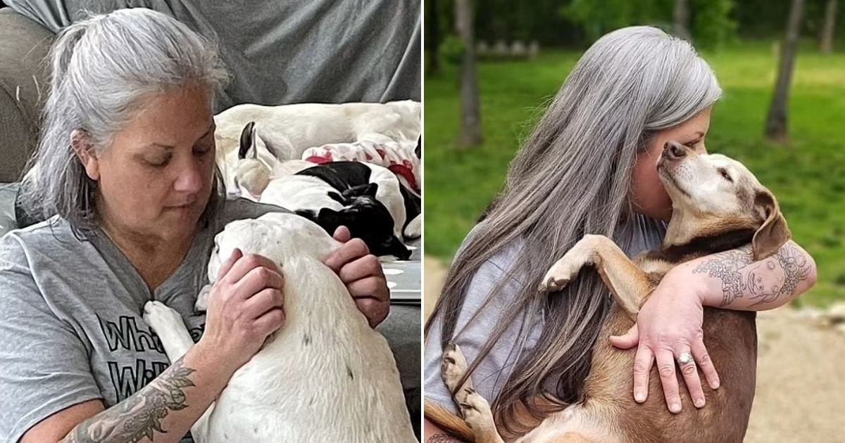 untitled design 57.jpg?resize=412,275 - Woman Turns Her Own Home Into A Hospice For Sick And Elderly Dogs After No One Would Take Her Aging Pooch In