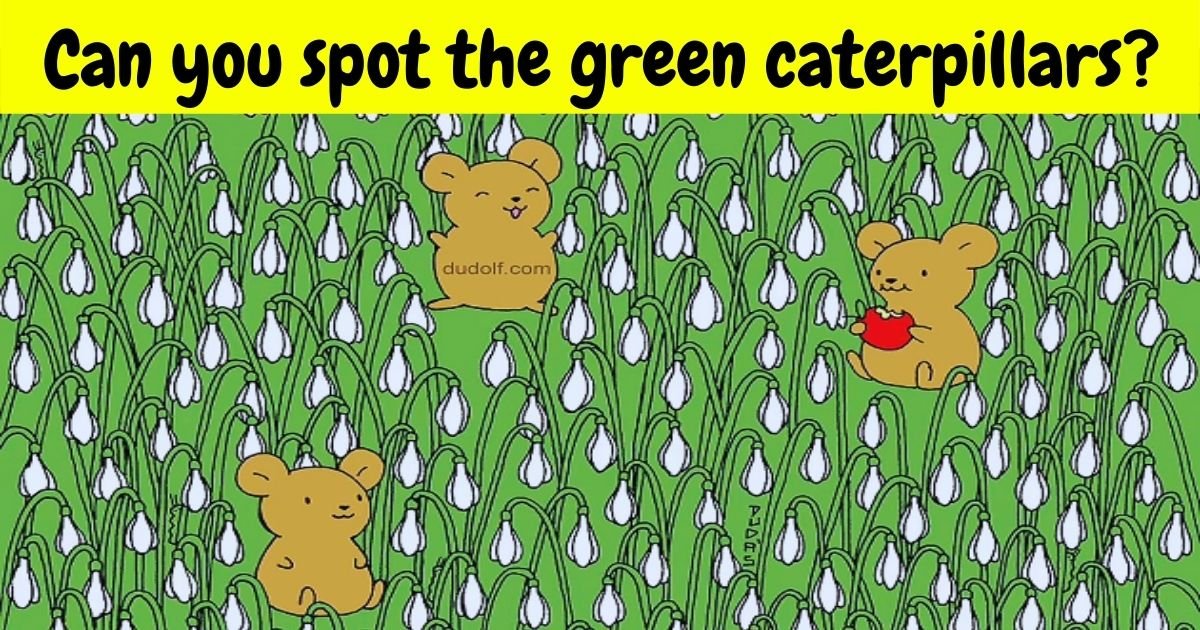 can you spot the green caterpillars.jpg?resize=412,275 - 9 Out Of 10 People Could Not Find The Green Caterpillars In This Picture! But Can You Spot Them?