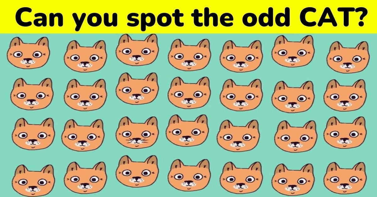 can you spot the odd cat.jpg?resize=1200,630 - 9 Out Of 10 People Could Not Find Odd CAT In This Picture! But Can You Spot It In Just 10 Seconds?