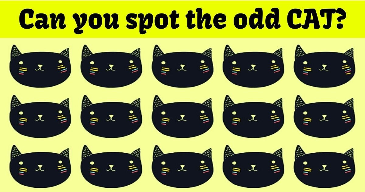cat3.jpg?resize=1200,630 - 9 Out Of 10 People Can't Spot The Odd CAT! But Can You Find It In Just 10 Seconds?