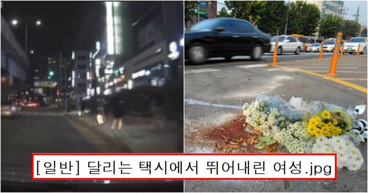 collage 101.jpg?resize=1200,630 - 실시간 포항서 20대 여대생이 달리던 택시에서 뛰어내려 사망했다 (사진)