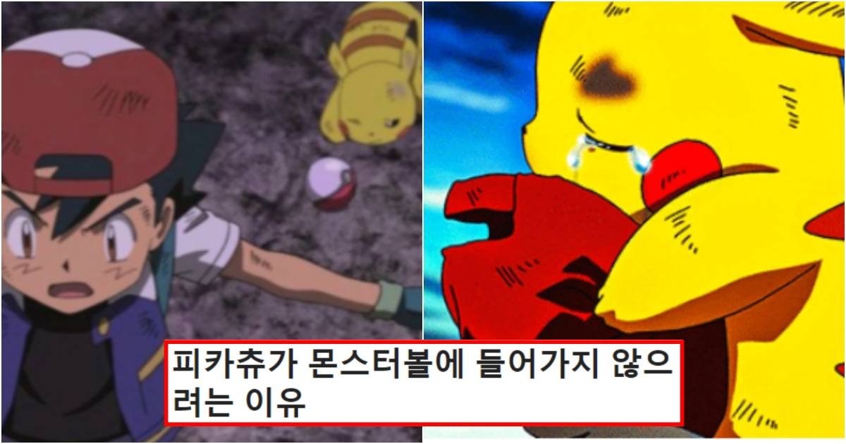 collage 135.jpg?resize=412,275 - 피카츄가 몬스터볼에 들어가지 않으려는 너무 슬픈 이유