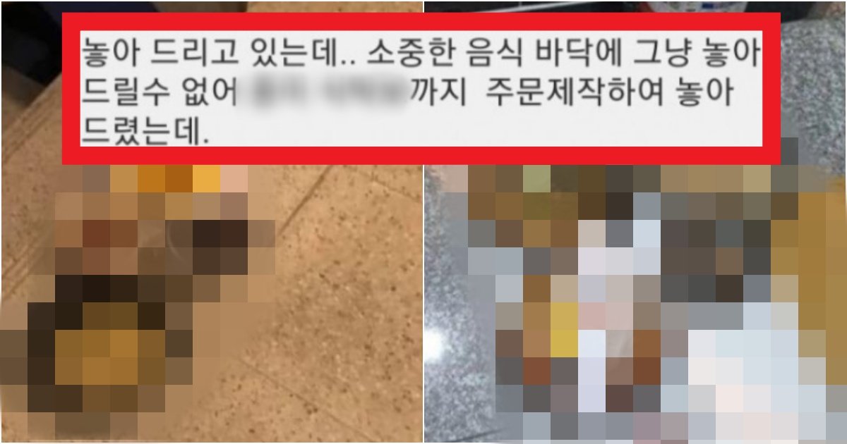 collage 174.jpg?resize=412,275 - "배달 왔는데 음식을 이 딴 식으로 문 앞에 두고 갔는데, 열받네요.. 제가 예민한 거예요?"