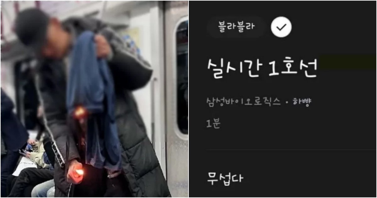 collage 277.jpg?resize=412,275 - 속보) 실시간 지하철 1호선 상황 (사진)