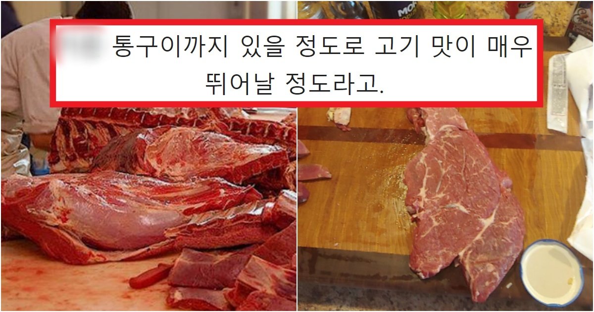 collage 281.jpg?resize=412,275 - "한국인은 안 먹어본 고기" 아프리카에서만 먹는다는 충격적인 고기 수준(+사진과 후기)