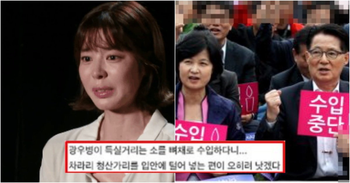 collage 358.jpg?resize=412,275 - 배우 김규리가 그것이알고싶다 출연해서 오열했는데 사람들 반응이 싸늘한 이유