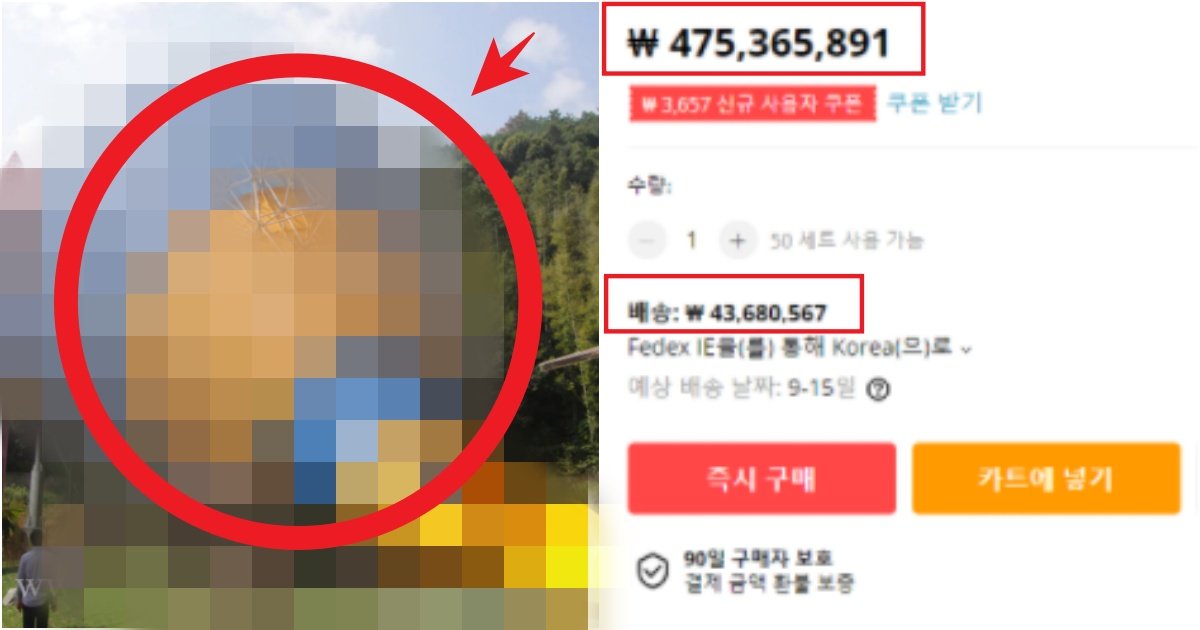 collage 433.jpg?fit=1024%2C538&ssl=1&strip=all - '판매하는 제품이 4억 7천 + 배송비는 4천만원' 중고나라사이트에 올라와버린 제품의 정체(+사진)