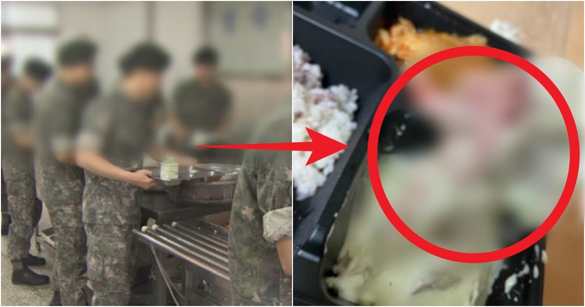 collage 462.jpg?resize=1200,630 - '이걸 어떻게 먹으라는거야?' 현재 한국 군대에 떡하니 지급된 '생 닭고기' 수준(+사진)