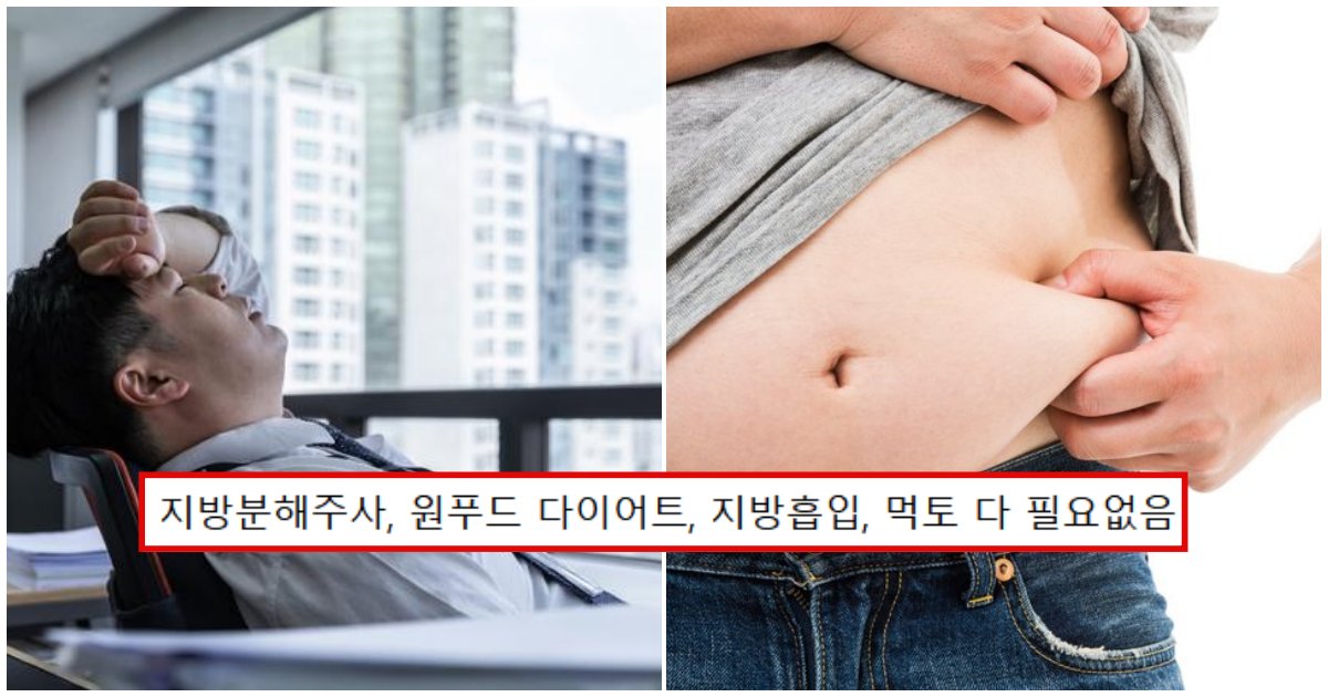 collage 59.png?resize=412,232 - 요즘 현대인들이 '점점' 살찌게 되는 가장 '근본적인' 이유