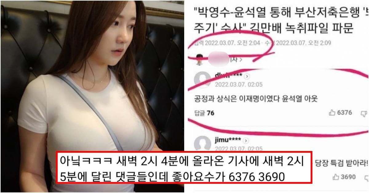 collage 97.jpg?resize=1200,630 - 실시간 여시 댓글부대 동원해서 댓글조작하는 꼴보고 극대노한 유명 여BJ 폭로