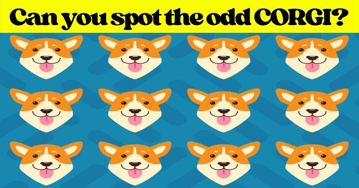 corgi3.jpg?resize=1200,630 - Only 1 In 10 People Can Spot The Different CORGI In This Picture! But Can You Also Find It In Just 10 Seconds?