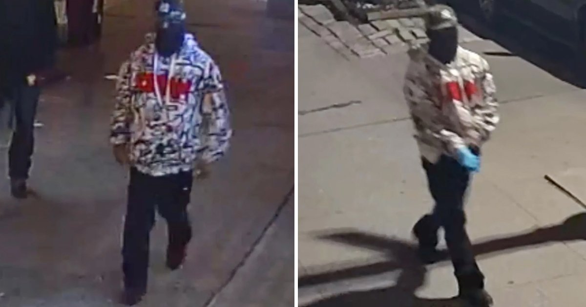 d94.jpg?fit=1024%2C538&ssl=1&strip=all - 43-Year-Old Woman Clings To Life As Attacker PUNCHES Her Before DRAGGING Her Across The Streets Of Harlem