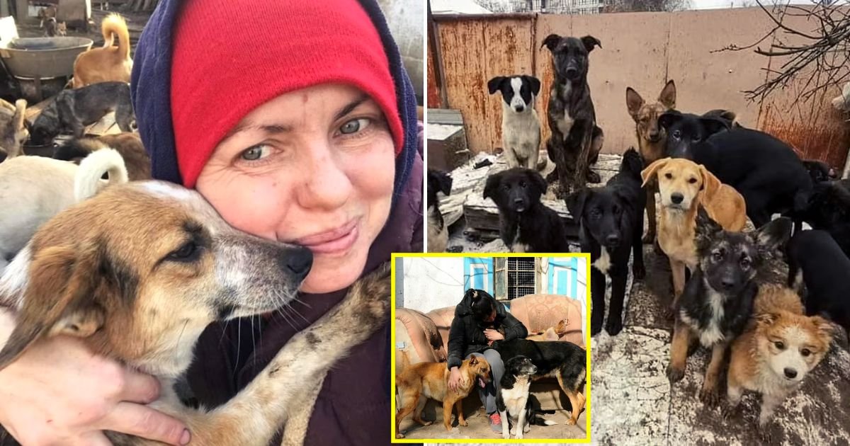 dogs8.jpg?resize=1200,630 - Brave Ukrainians RISK Their Lives As They Refuse To Leave Thousands Of Pets Behind Because 'They Are All Like Family'