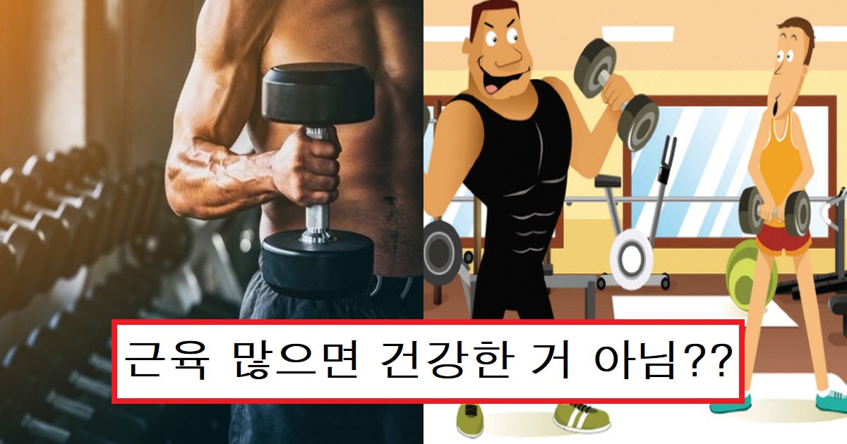 eab7bcec9ca1ec8db8.png?resize=412,275 - "헬스는 건강에 도움이 될까?"... 근육량과 건강의 상관관계