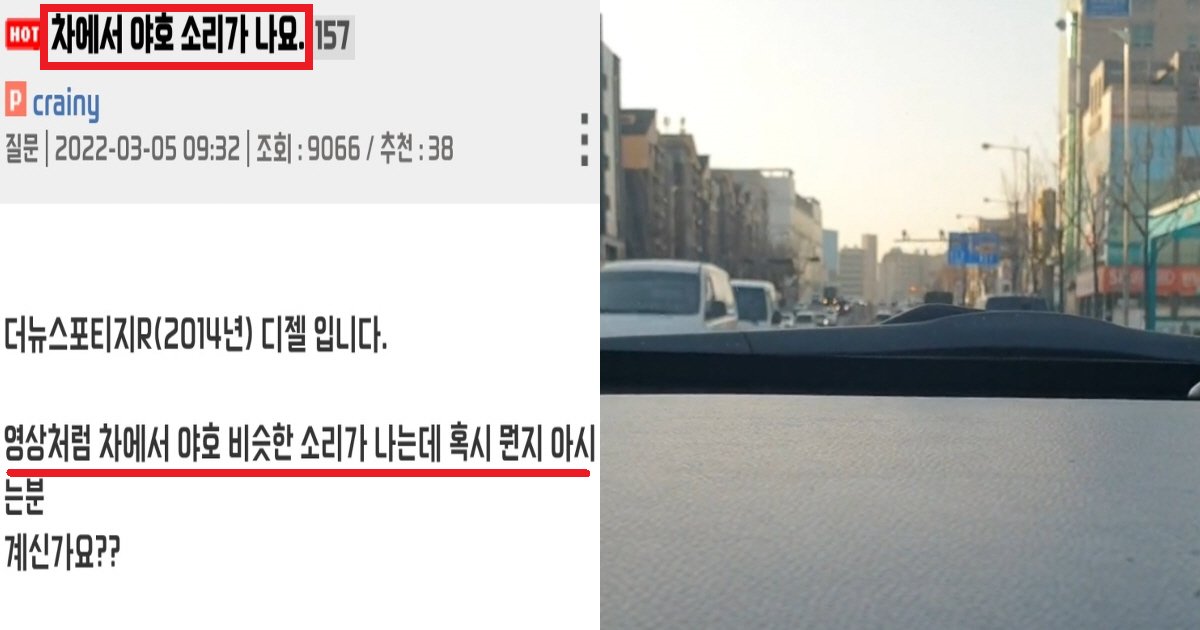 ec95bced98b8ec8db8.png?resize=412,275 - "자꾸 이상한 소리가 나요"... 차에서 "야호"소리가 난다는 네티즌(+영상 결말)