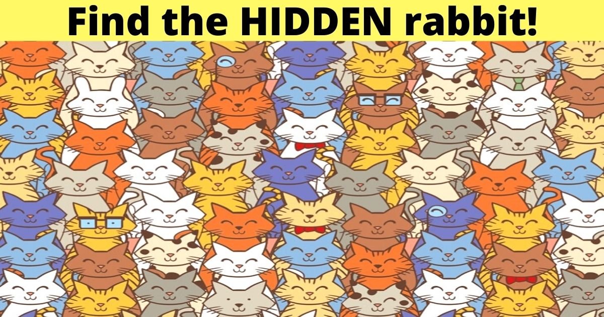 find the hidden rabbit.jpg?resize=1200,630 - 90% Of People Couldn't Spot The Rabbit Hiding Among The Cats! But Can You?