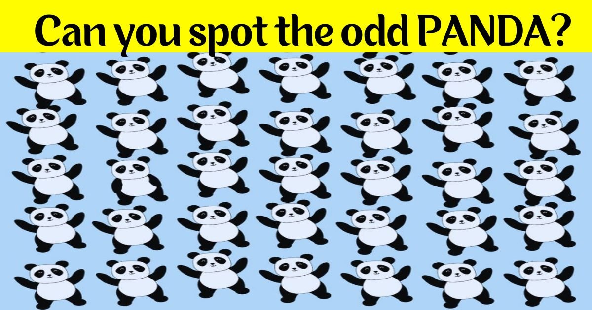 panda3.jpg?resize=1200,630 - 9 Out Of 10 People Can't Spot The Odd PANDA In 10 Seconds! But Can You Beat This Challenge?
