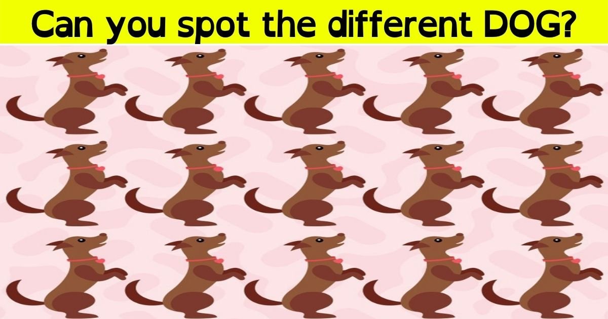 spot3.jpg?resize=1200,630 - 9 Out Of 10 People Can't Spot The Different DOG In This Picture! But Can You Find It?