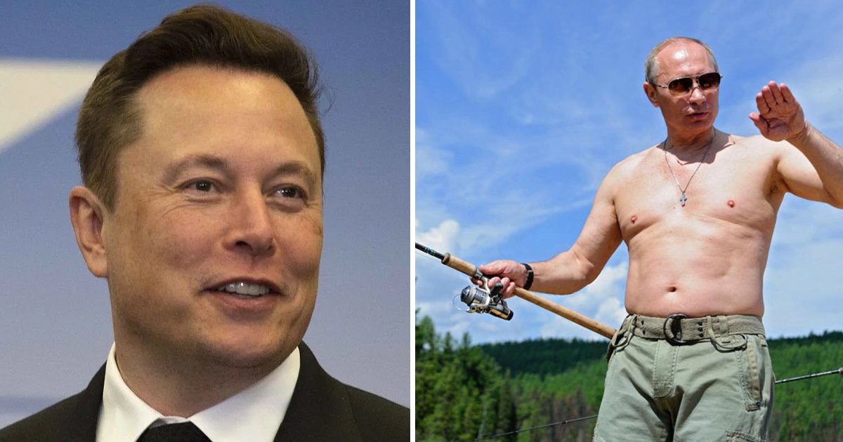 t4.jpg?resize=1200,630 - JUST IN: Billionaire Elon Musk Offers To Meet Putin For A One-On-One Challenge To Save Ukraine