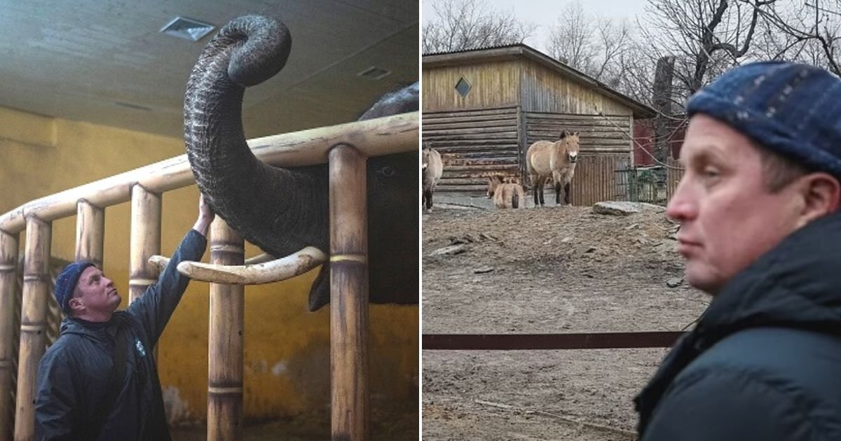 untitled design 95.jpg?resize=412,275 - 'No Animal Left Behind!' Brave Zookeepers And Their Families MOVE INTO Kyiv Zoo To Look After Animals