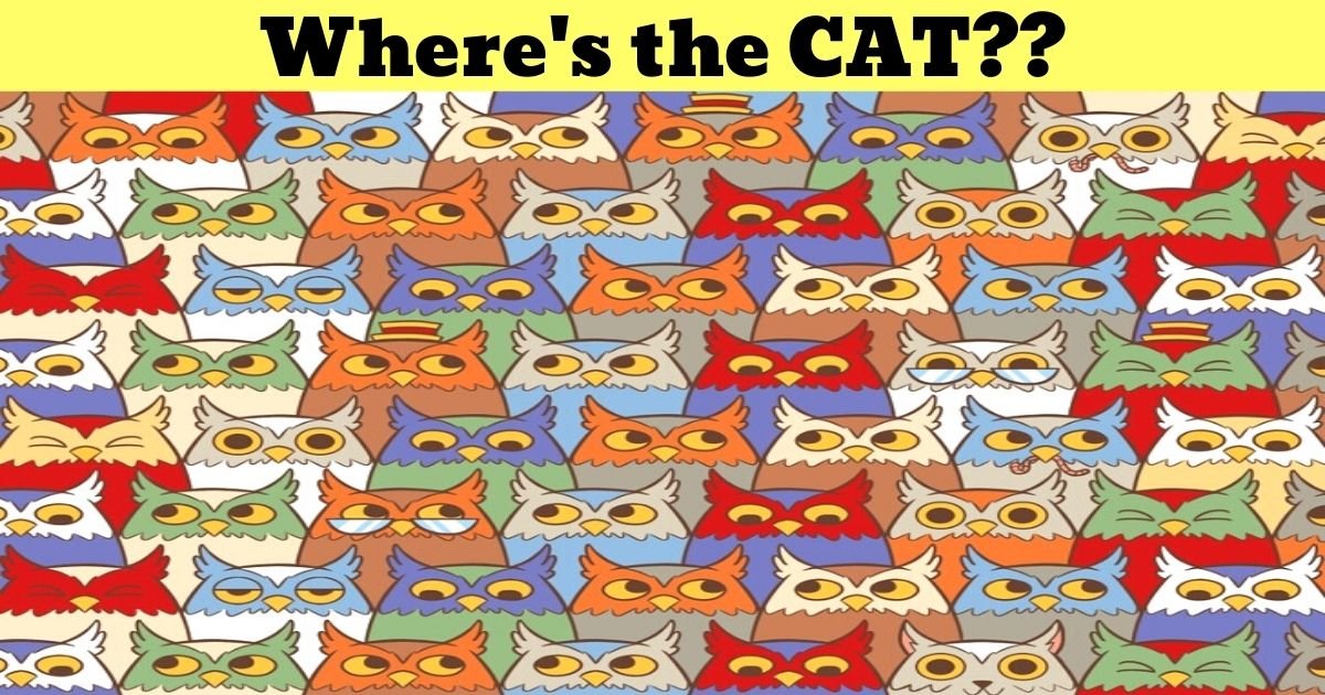 wheres the cat.jpg?resize=412,275 - There Is A Cat Hiding In This Picture - But Can You Find It In Less Than 30 Seconds?