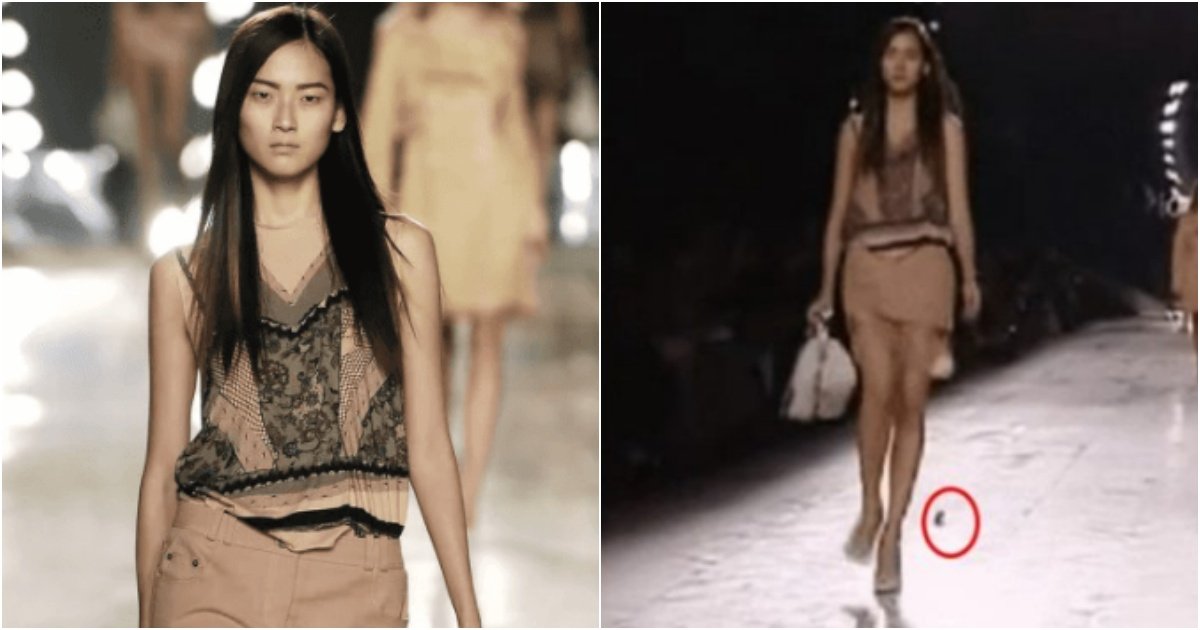 collage 100.jpg?resize=1200,630 - '한국인 모델 최초..' 백인들만 올라갔던 디올 패션쇼에 한국인이 올라가자 '5초' 뒤 난리 난 이유