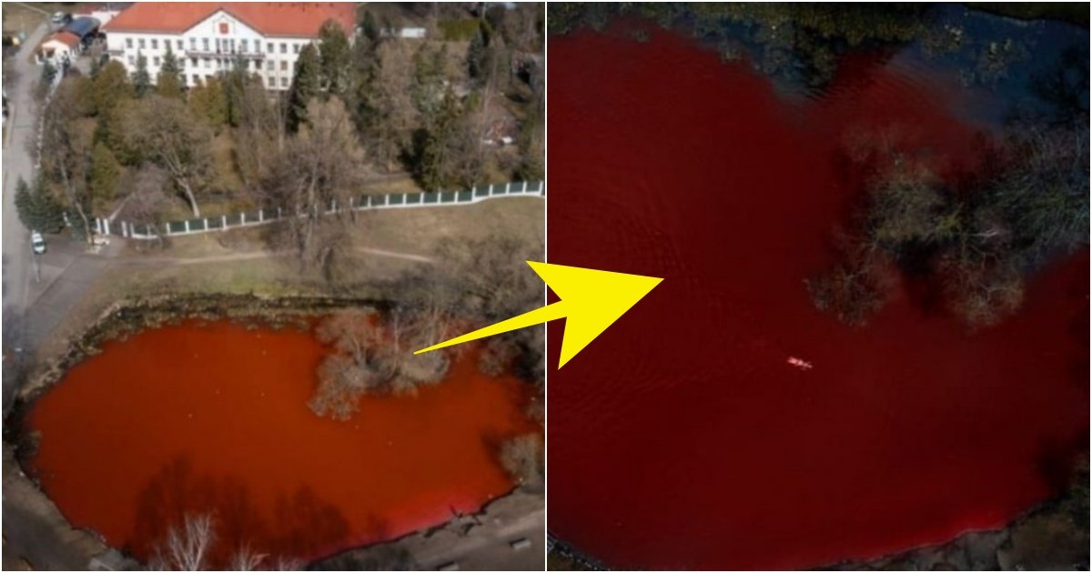 collage 118.jpg?resize=1200,630 - '헐 이게 그거야...?' 갑자기 러시아 대사관 앞에 있는 연못이 피로 물들어 버린 이유(+사진)