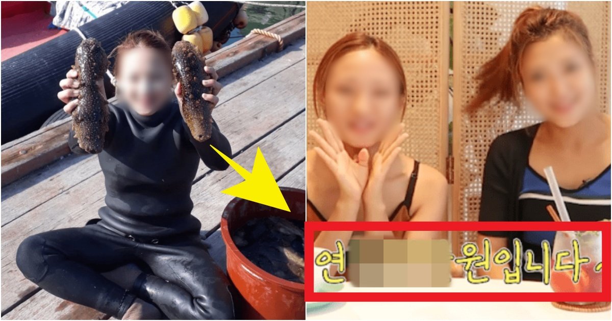 collage 149.jpg?resize=412,275 - '이 정도라고?..' 20대 해녀들이 '1년'에 물질만 하고 벌어 들인다는 수입의 수준(+사진)