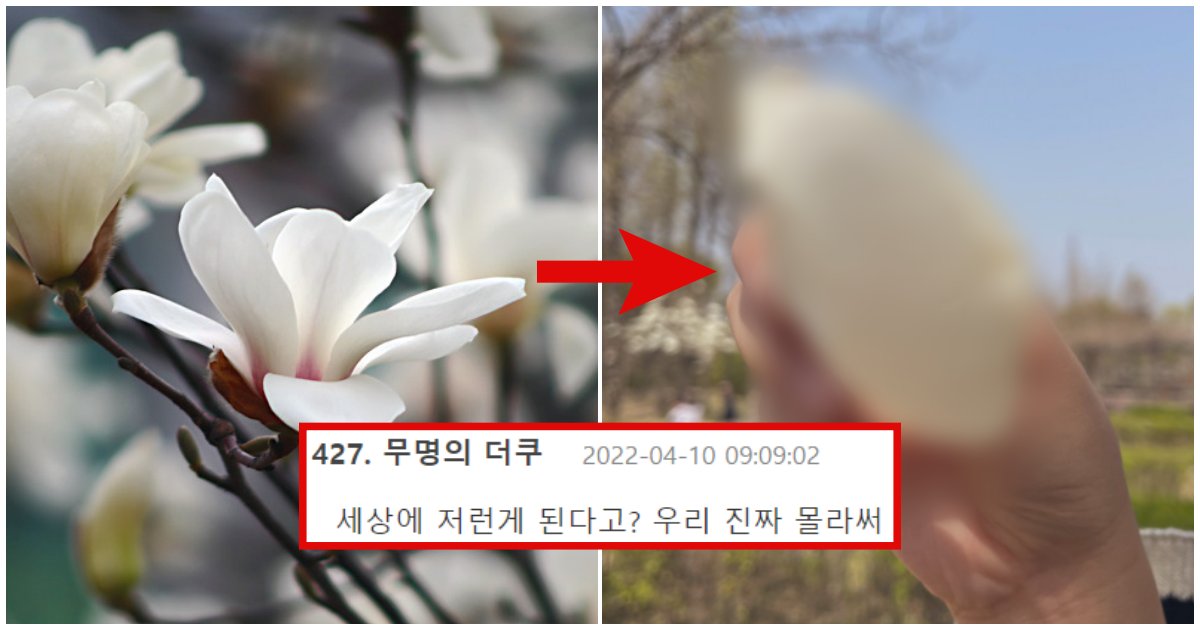 collage 30.png?resize=1200,630 - 시골에서 자라온 사람이 서울친구들을 보고 '의외로' 놀라게 됐다는 부분