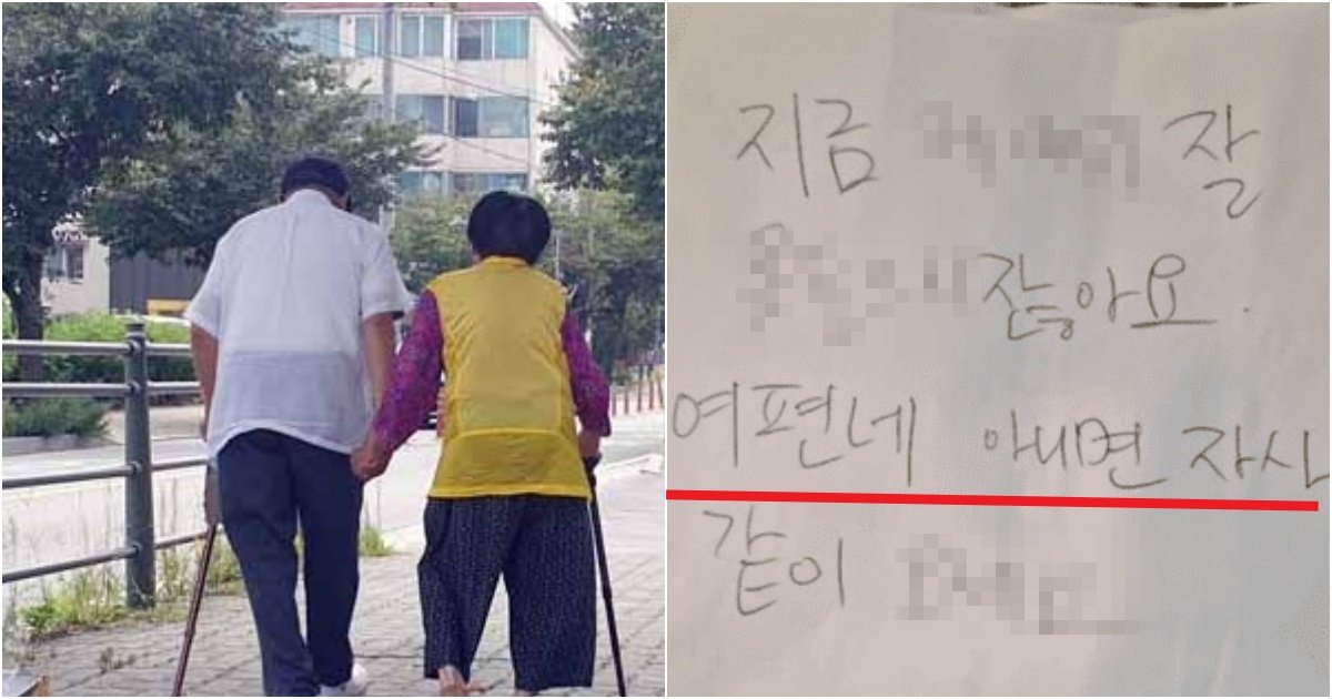 collage 77.jpg?fit=1024%2C538&ssl=1&strip=all - "여편네 아니면.." 80대 할아버지가 구청 갔다가 받아버린 경악스러운 편지 수준(+실제 사진)