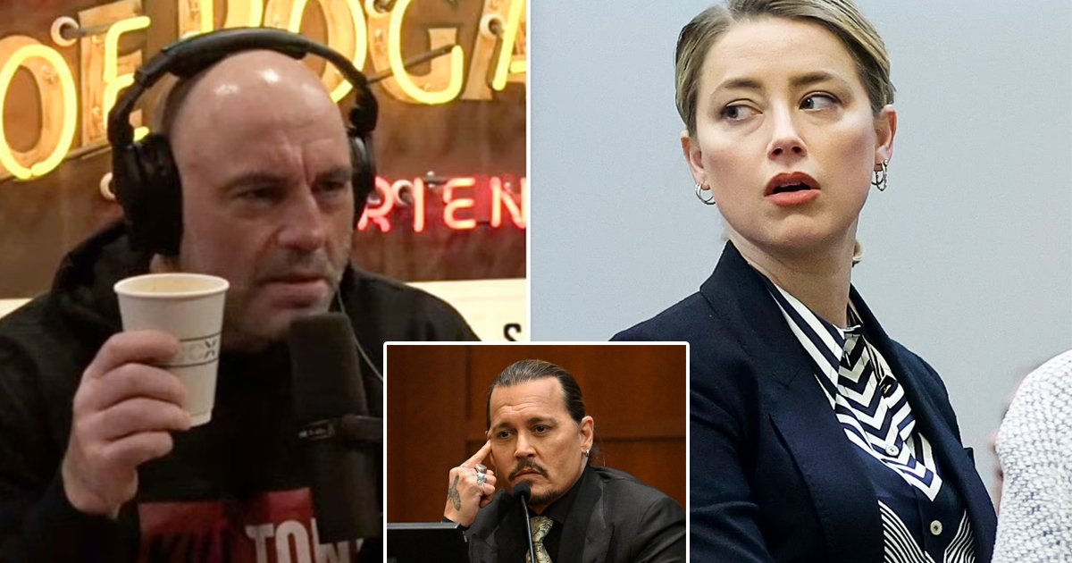 q1 2.jpg?resize=412,275 - "She's The Most Manipulative Woman You'll Ever See"- Joe Rogan Sides With Johnny Depp While Blasting Amber Heard