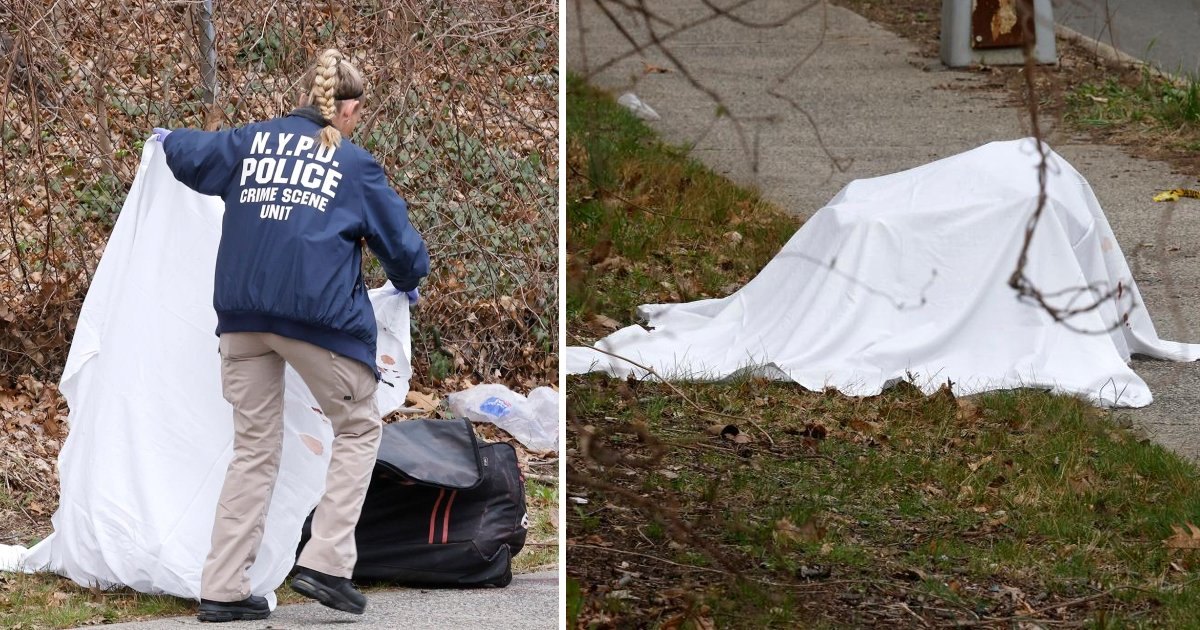 q2 10.jpg?resize=1200,630 - JUST IN: Residents Shaken As Mother's Body Found Stuffed Inside Duffel Bag In Upscale Queens Neighborhood