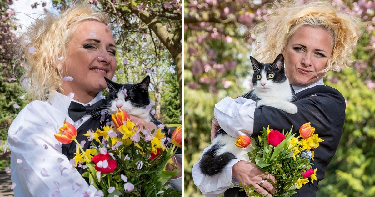 q3 1.jpg?resize=1200,630 - Woman MARRIES Her Cat So She Can Fulfill Her Landlord's Pet Restrictions