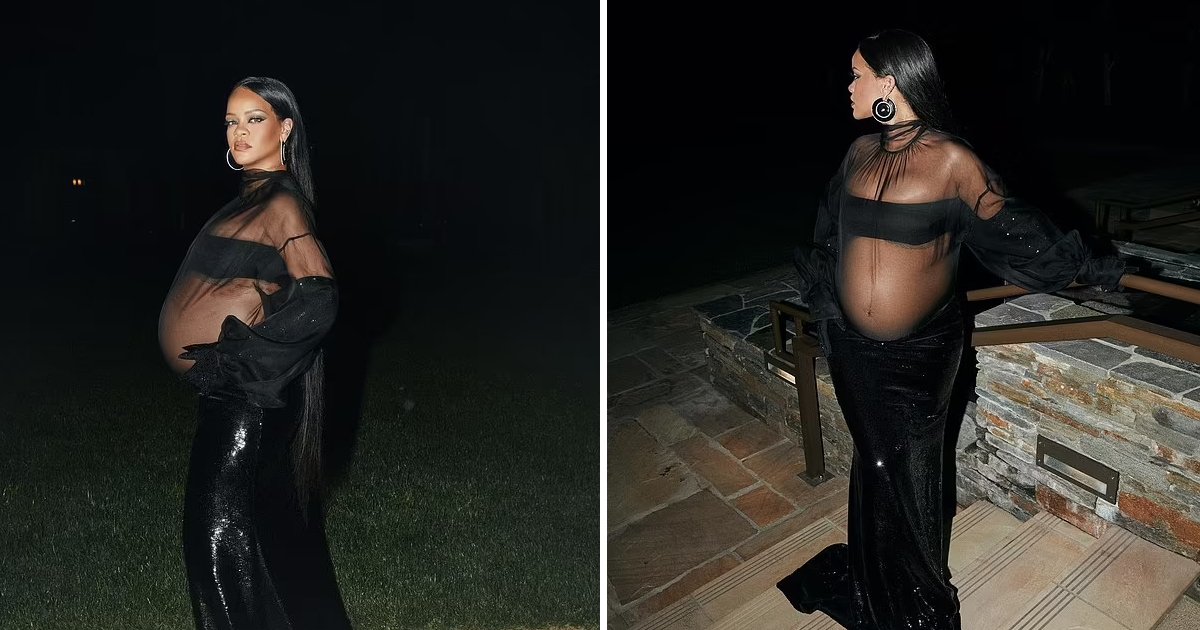 q3 4.jpg?resize=1200,630 - Rihanna Leaves Little To The Imagination After Flaunting Baby Bump In SHEER Oscars Gown