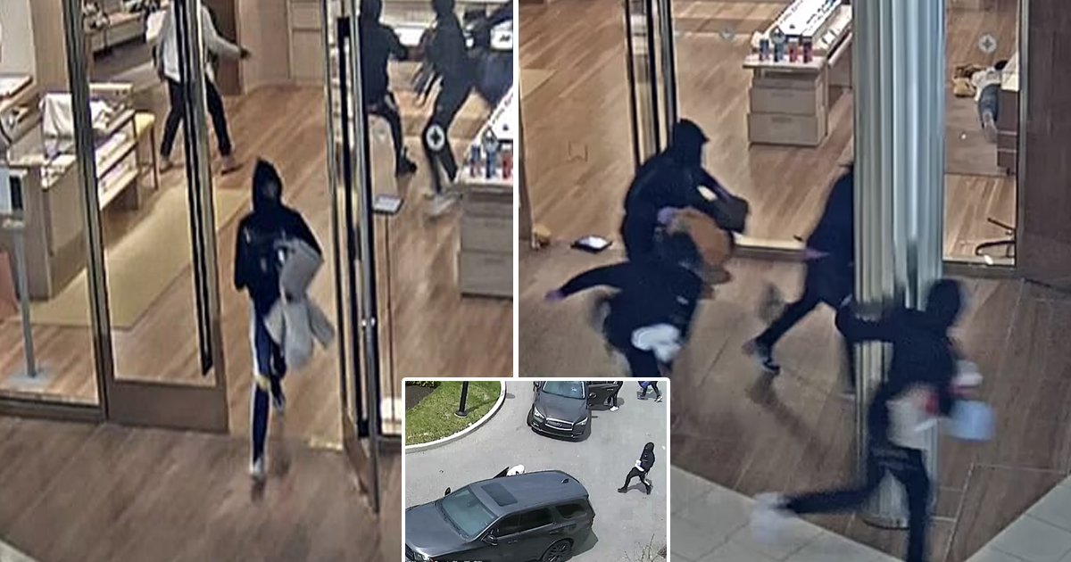 q6 1.jpg?fit=1024%2C538&ssl=1&strip=all - BREAKING: Thieves Manage To STEAL ‘Every Item On The Showroom Floor’ At Ohio’s Louis Vuitton Store
