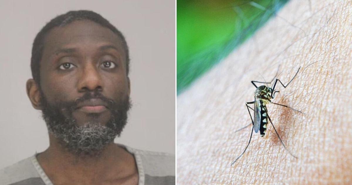 untitled design 51.jpg?resize=412,275 - Man Arrested After Attacking His Roommate Over An Argument About A MOSQUITO In The Middle Of The Night