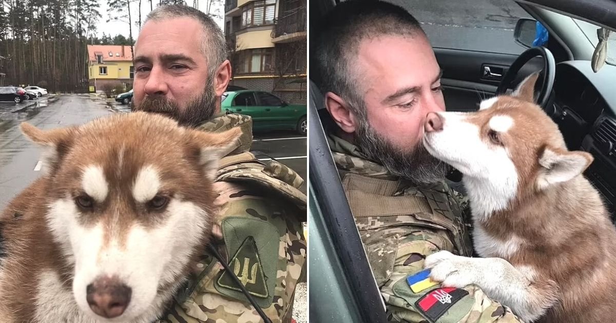 untitled design 64.jpg?resize=1200,630 - Beloved Dog Who Went Missing During Shelling In Ukraine Is Found By Soldier Who Promised To Look After Him