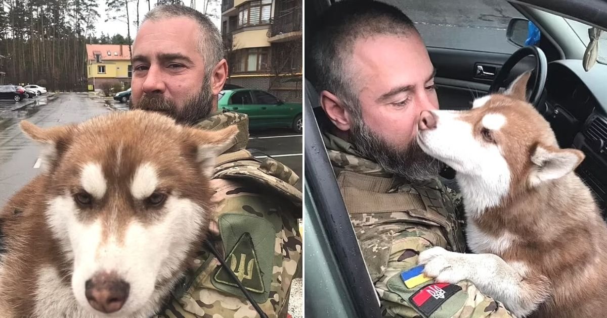 untitled design 64.jpg?resize=412,275 - Beloved Dog Who Went Missing During Shelling In Ukraine Is Found By Soldier Who Promised To Look After Him