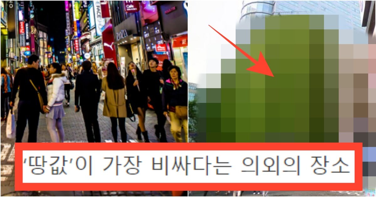 collage 102.jpg?resize=412,275 - '강남이 아니구나...' 현재 싹 다 공개 되버린 '땅 값'이 제일 비싸다는 놀라운 장소(+금액)